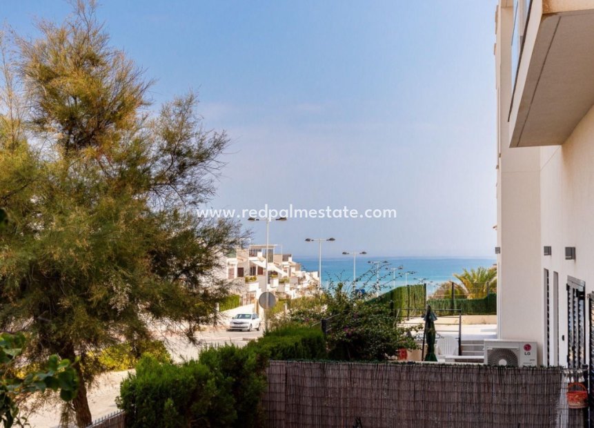 Resale - Apartment -
Torrevieja - La Mata