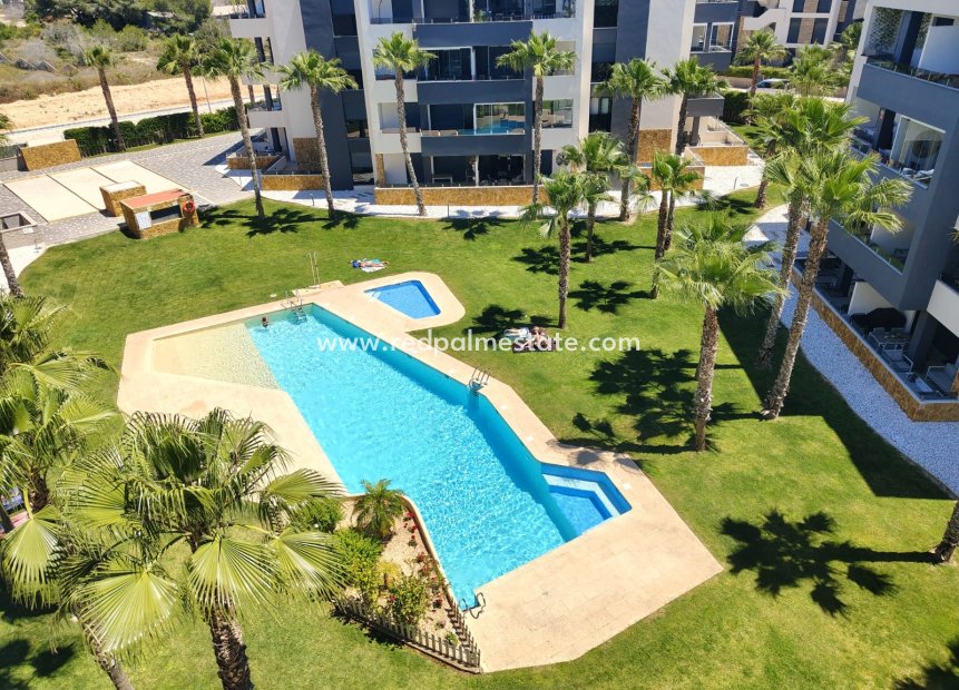 Resale - Apartment -
Torrevieja - Los Altos