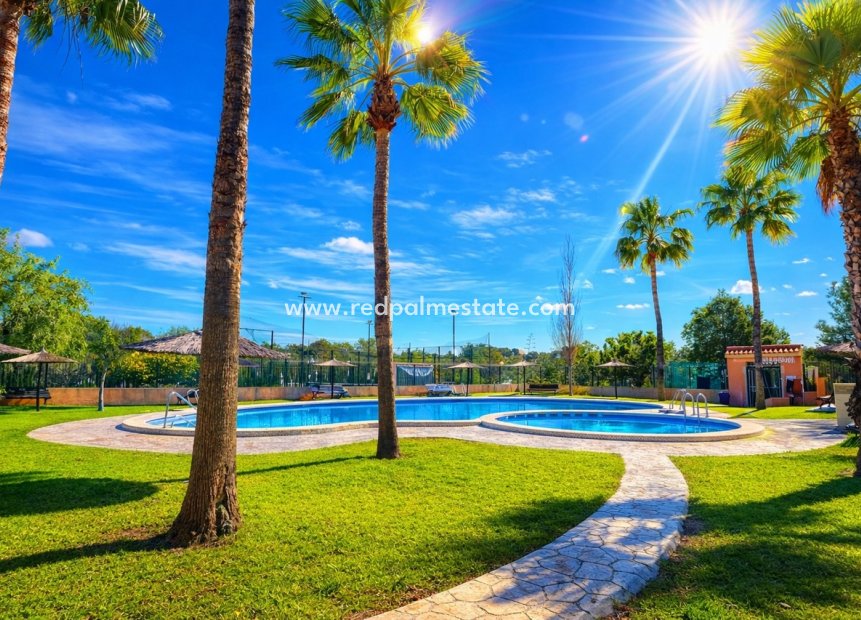 Resale - Apartment -
Torrevieja - Los Altos