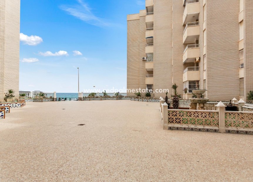 Resale - Apartment -
Torrevieja - Playa de los Locos