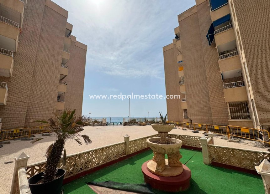 Resale - Apartment -
Torrevieja - Playa de los Locos