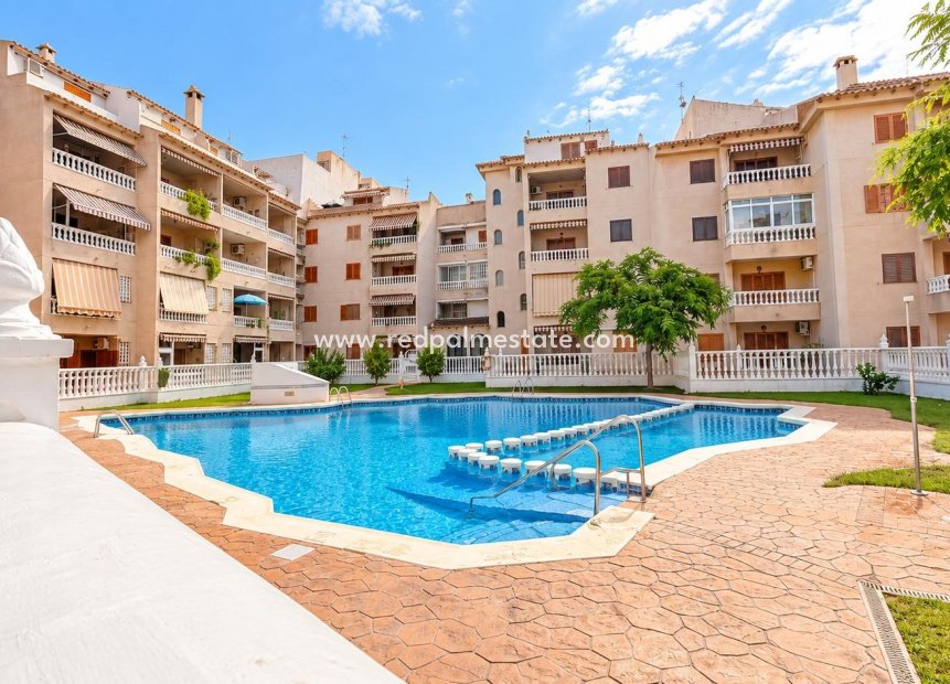 Resale - Apartment -
Torrevieja - Playa de los Locos