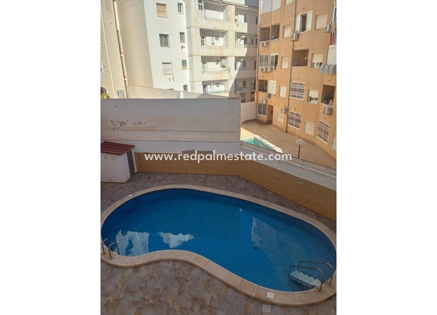 Resale - Apartment -
Torrevieja - Playa de los Locos