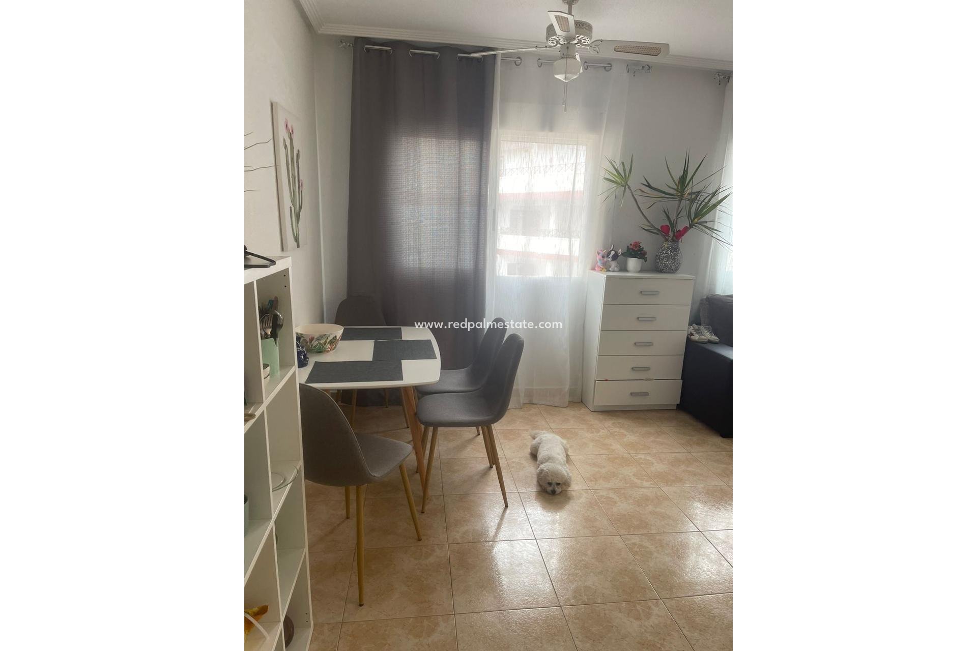 Resale - Apartment -
Torrevieja - Playa de los Locos