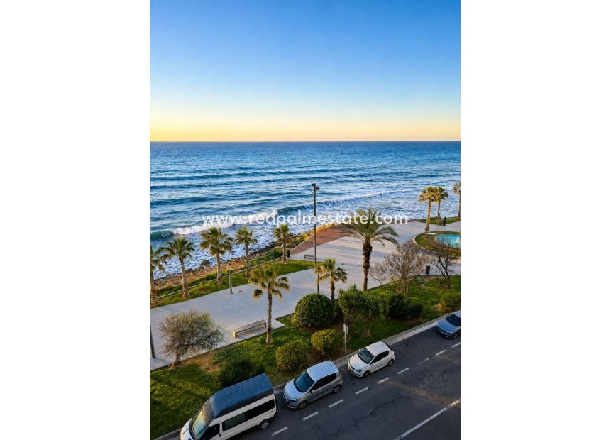 Resale - Apartment -
Torrevieja - Playa del Cura