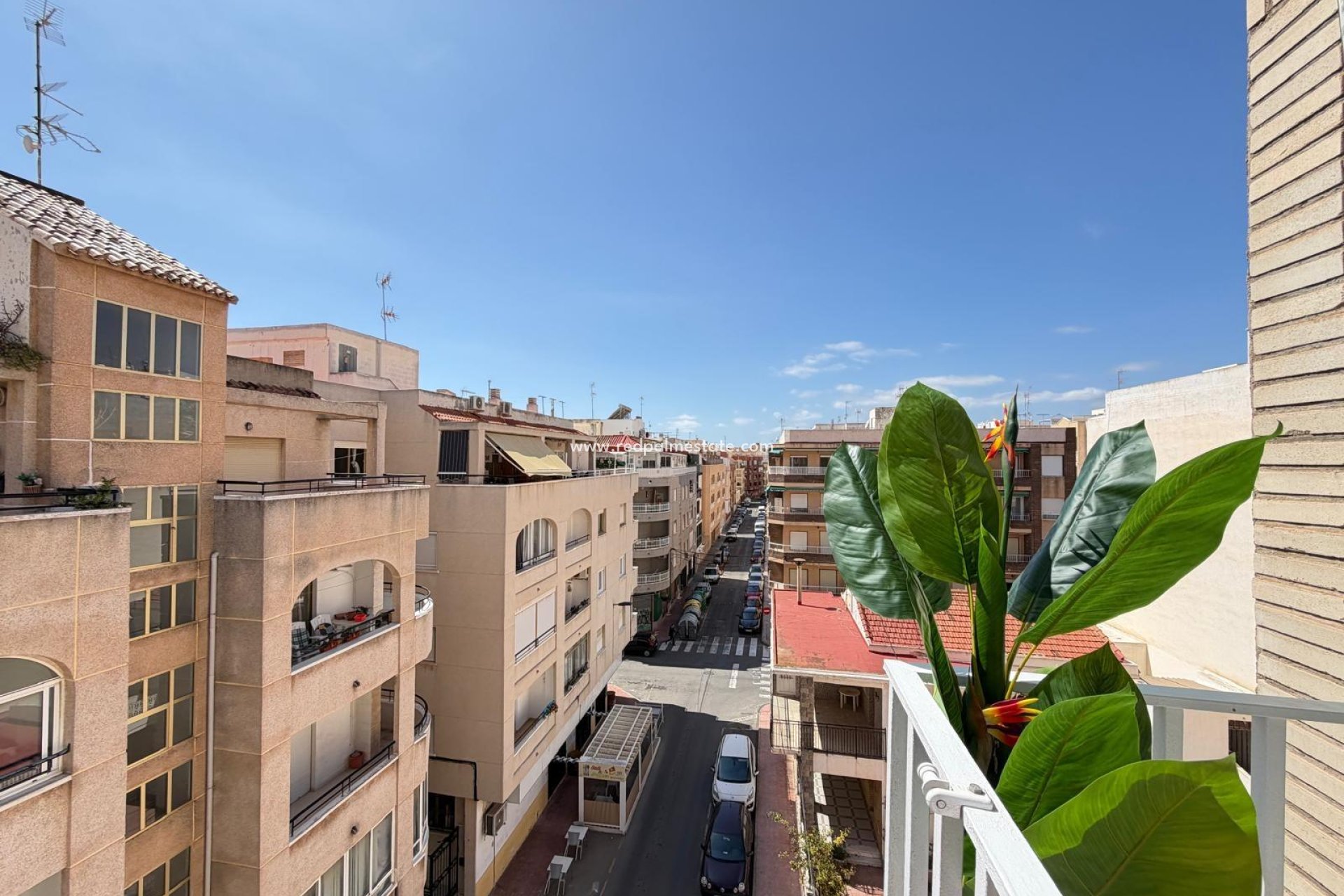 Resale - Apartment -
Torrevieja - Playa del Cura