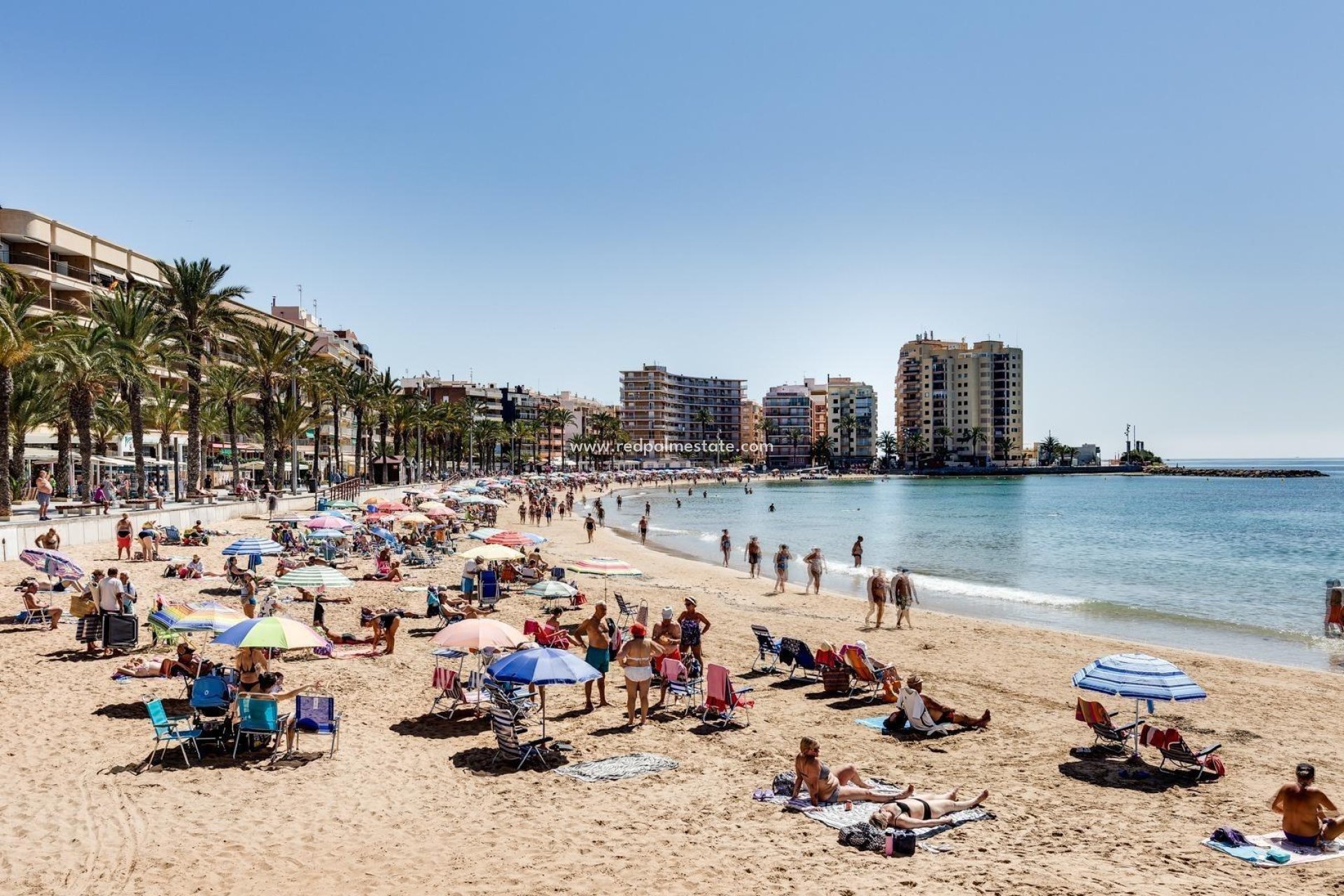 Resale - Apartment -
Torrevieja - Playa del Cura