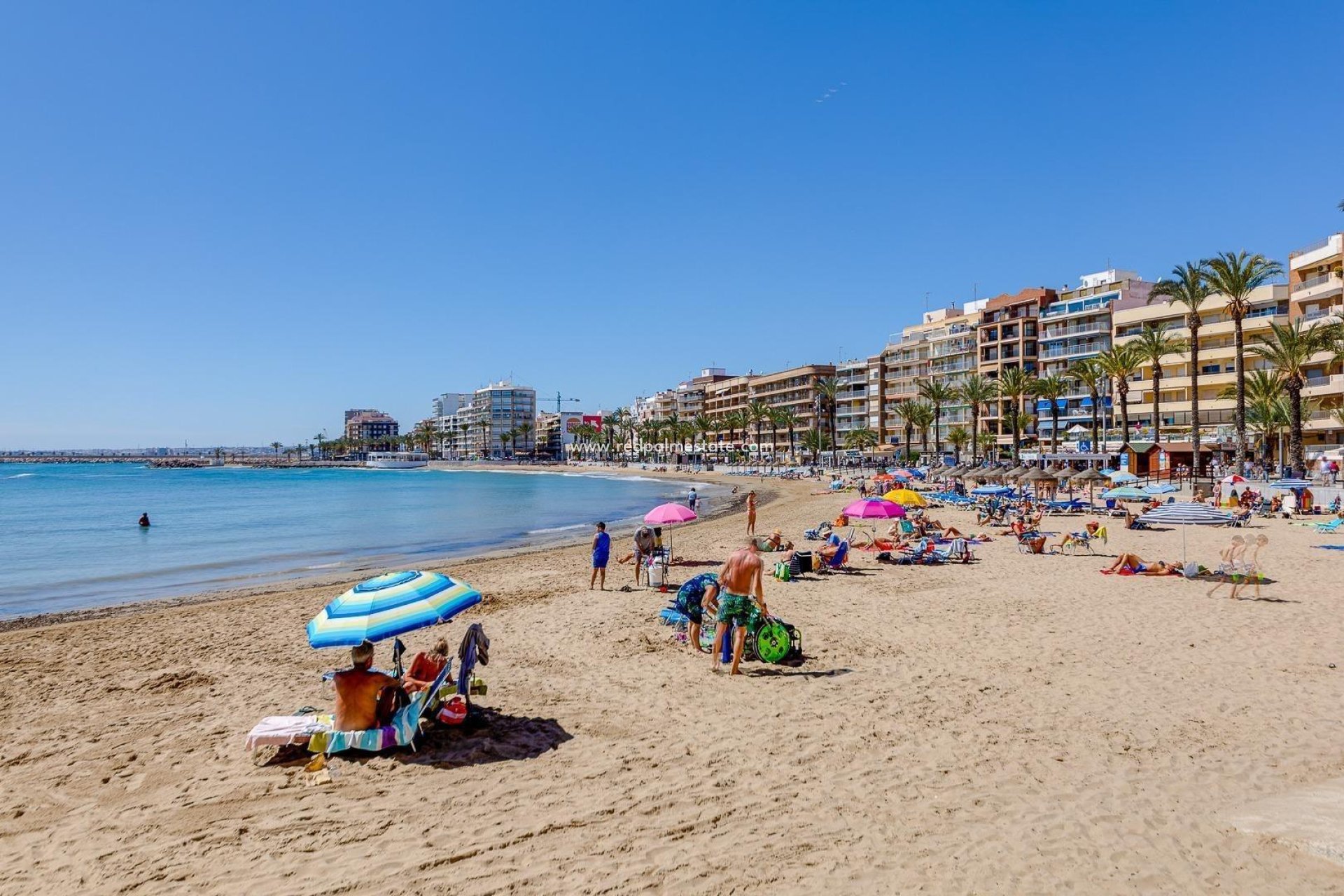 Resale - Apartment -
Torrevieja - Playa del Cura