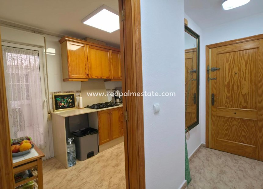 Resale - Apartment -
Torrevieja - Playa del Cura