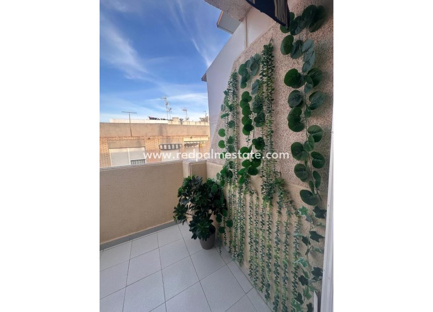 Resale - Apartment -
Torrevieja - Playa del Cura