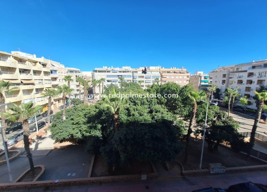 Resale - Apartment -
Torrevieja - Playa del Cura