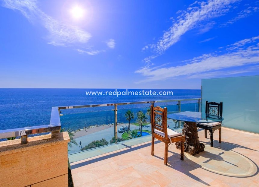 Resale - Apartment -
Torrevieja - Playa del Cura