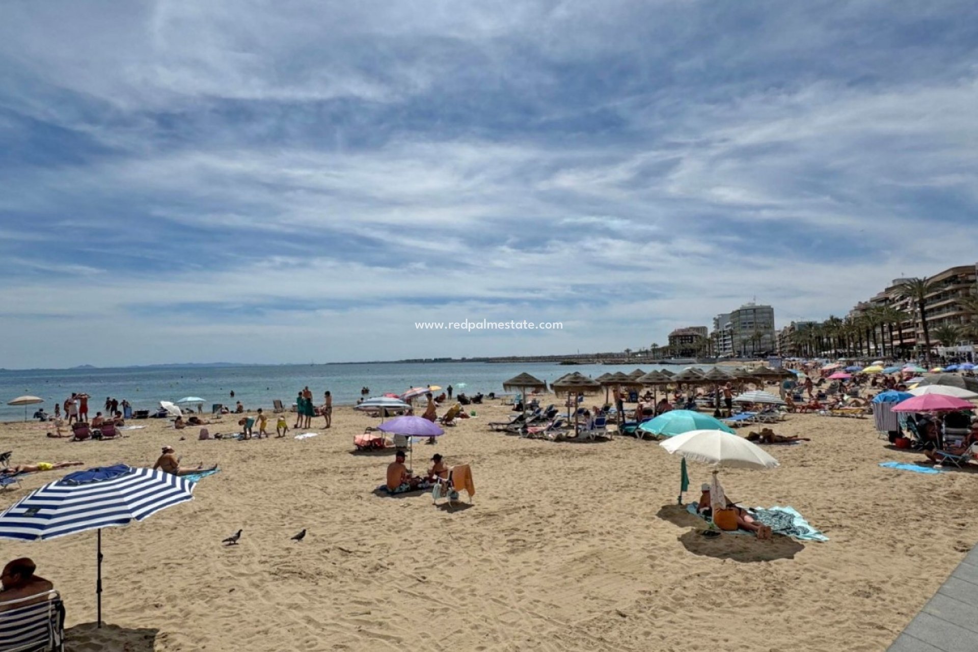 Resale - Apartment -
Torrevieja - Playa del Cura