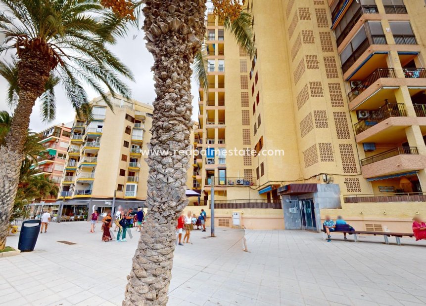 Resale - Apartment -
Torrevieja - Playa del Cura