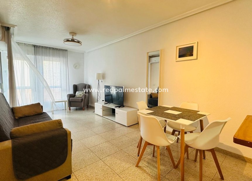 Resale - Apartment -
Torrevieja - Playa del Cura