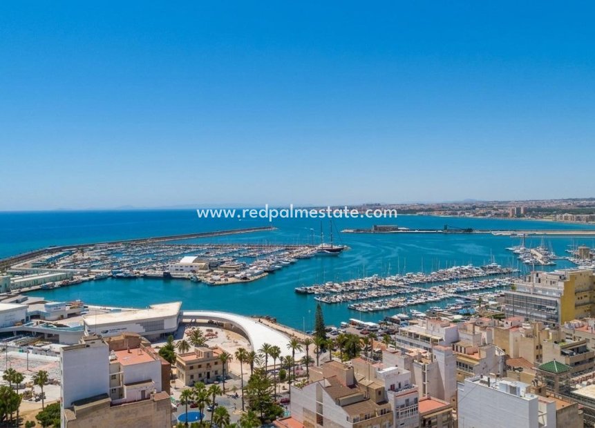 Resale - Apartment -
Torrevieja - Puerto Deportivo