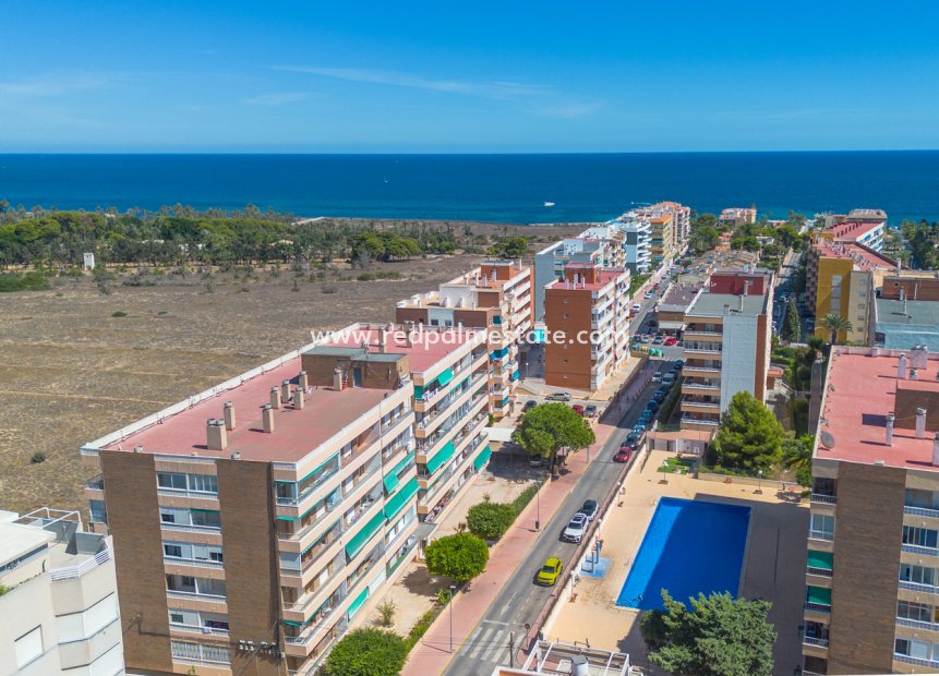 Resale - Apartment -
Torrevieja - Punta Prima Torrevieja