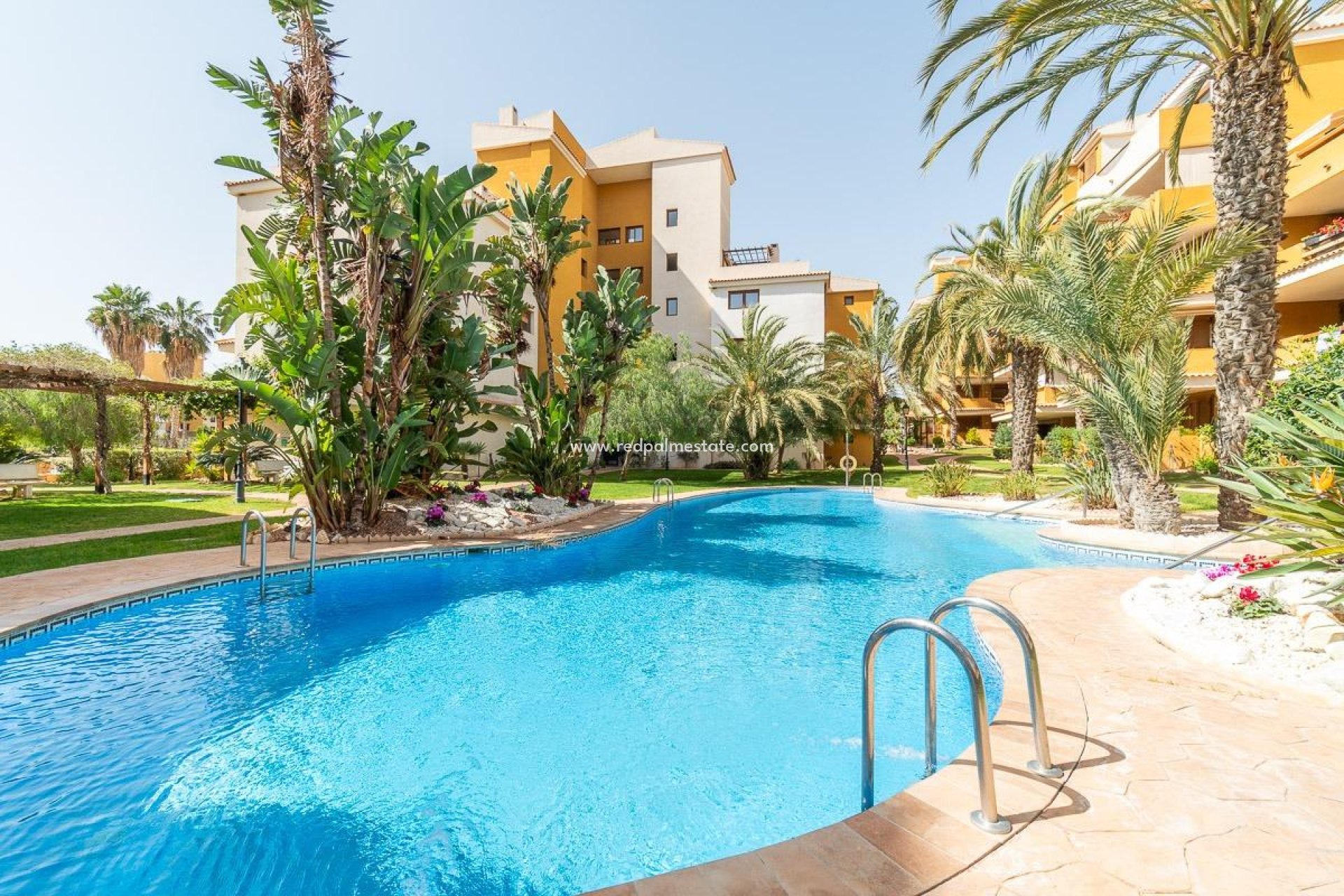 Resale - Apartment -
Torrevieja - Punta Prima Torrevieja