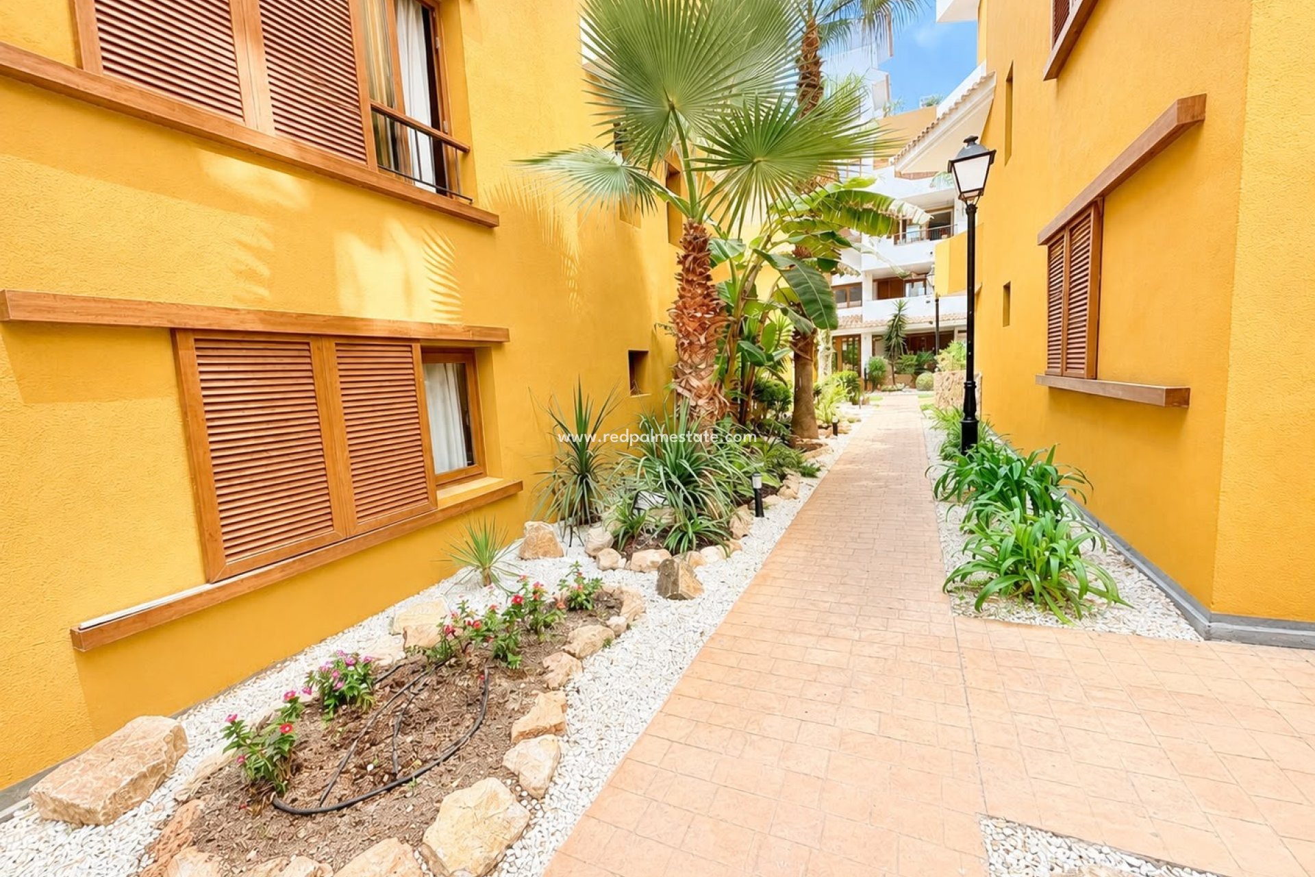 Resale - Apartment -
Torrevieja - Punta prima