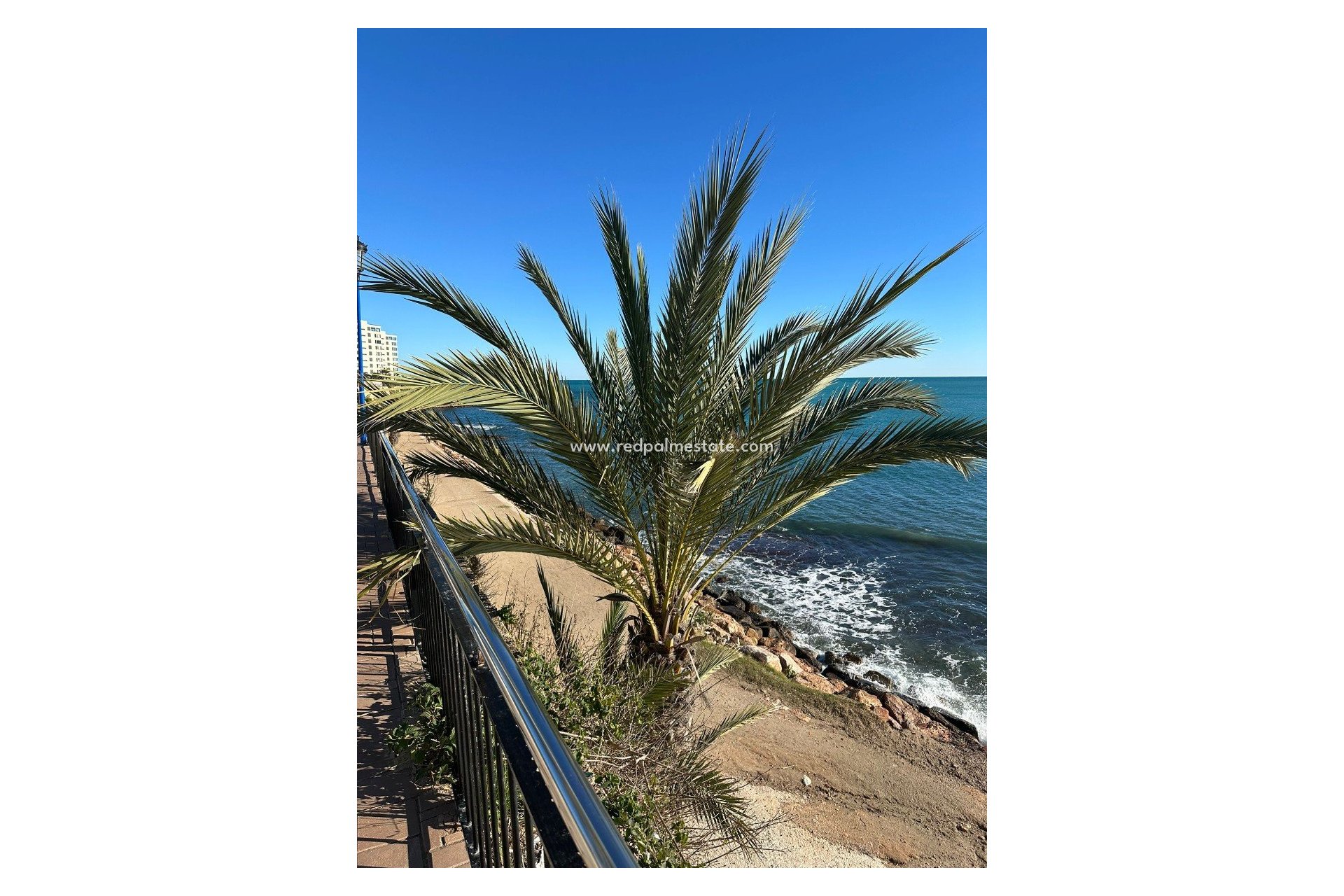 Resale - Apartment -
Torrevieja - Punta prima