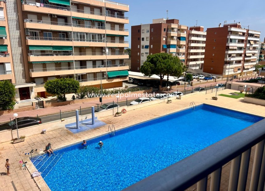 Resale - Apartment -
Torrevieja - Punta prima