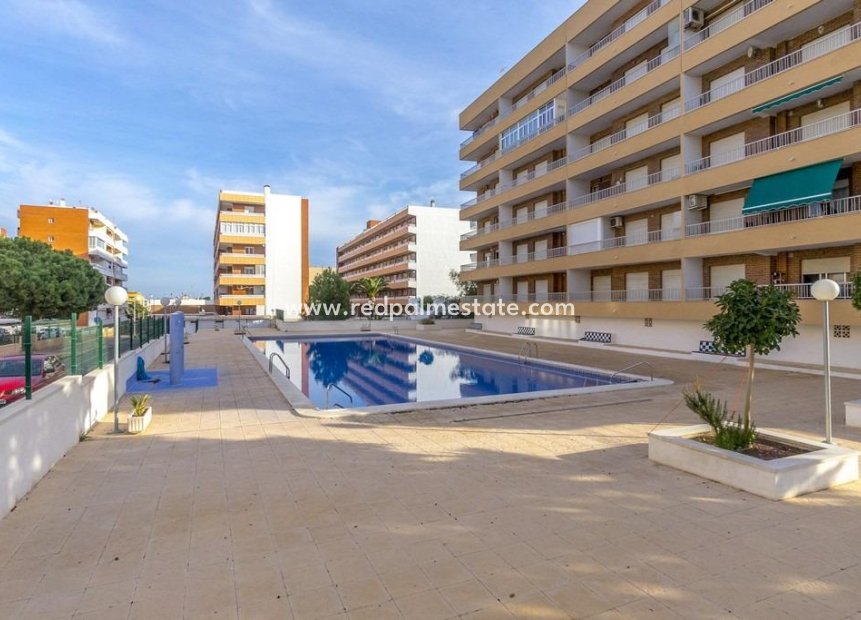 Resale - Apartment -
Torrevieja - Punta prima