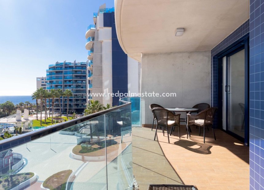 Resale - Apartment -
Torrevieja - Punta Prima