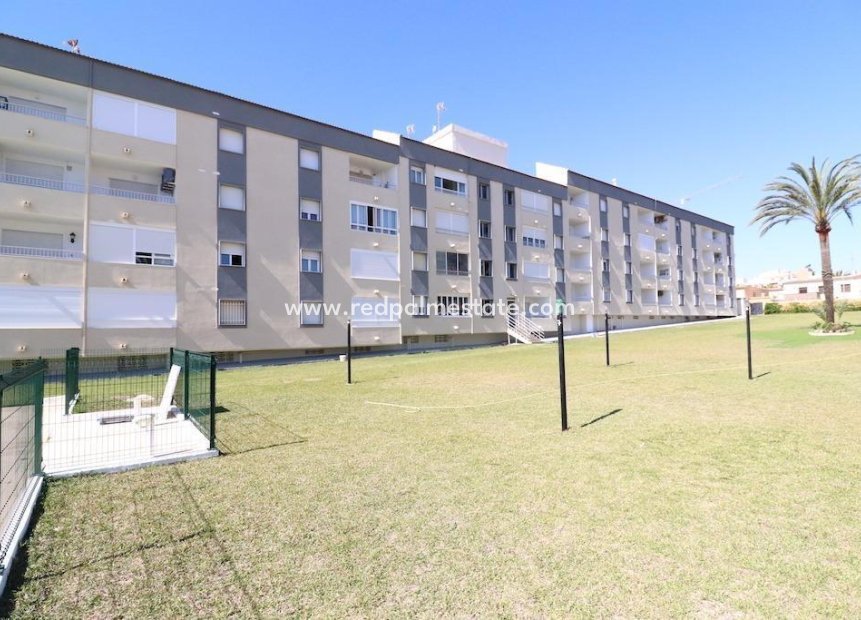 Resale - Apartment -
Torrevieja - Punta prima