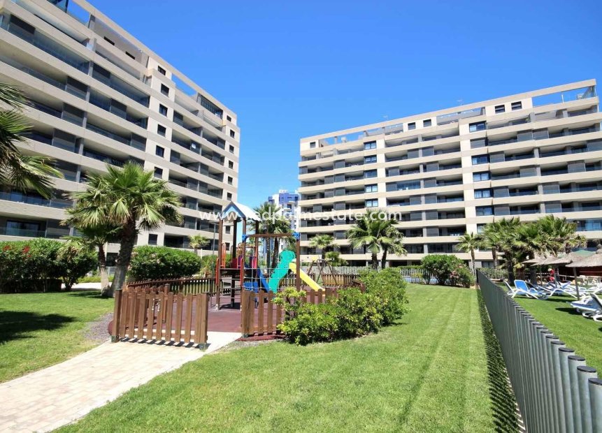 Resale - Apartment -
Torrevieja - Punta prima