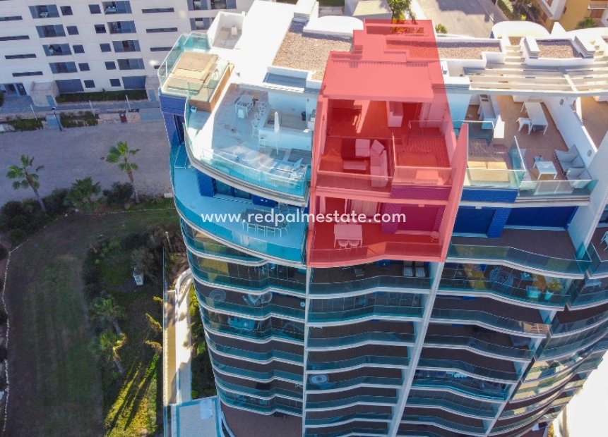 Resale - Apartment -
Torrevieja - Punta prima