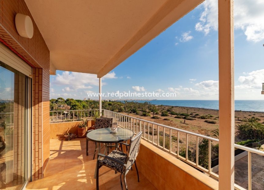 Resale - Apartment -
Torrevieja - Punta prima