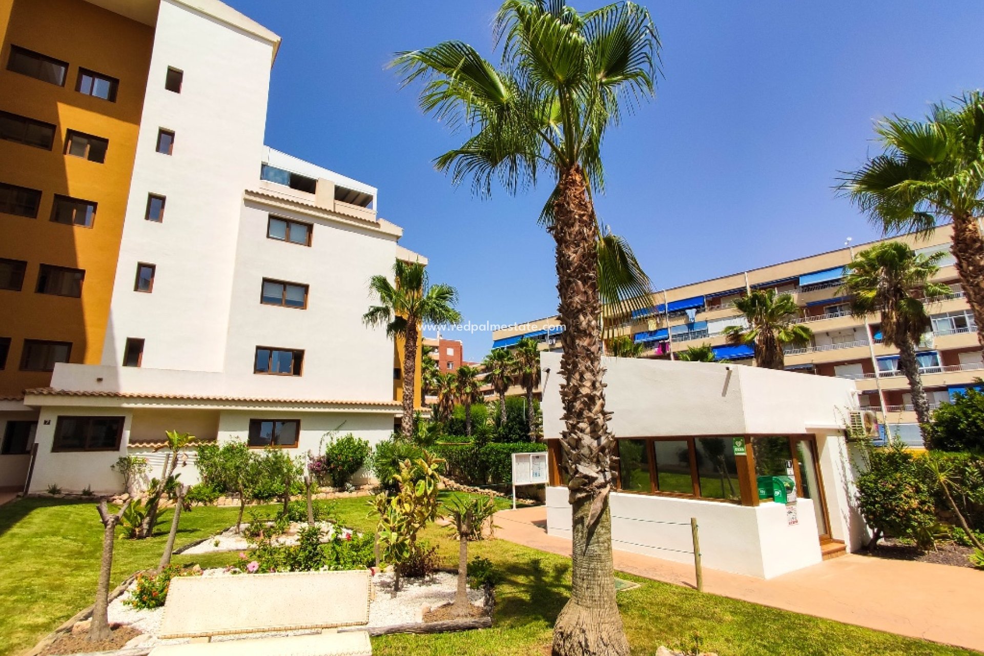 Resale - Apartment -
Torrevieja - Punta prima
