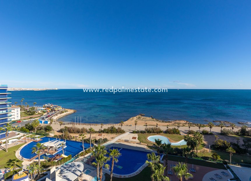 Resale - Apartment -
Torrevieja - Punta prima