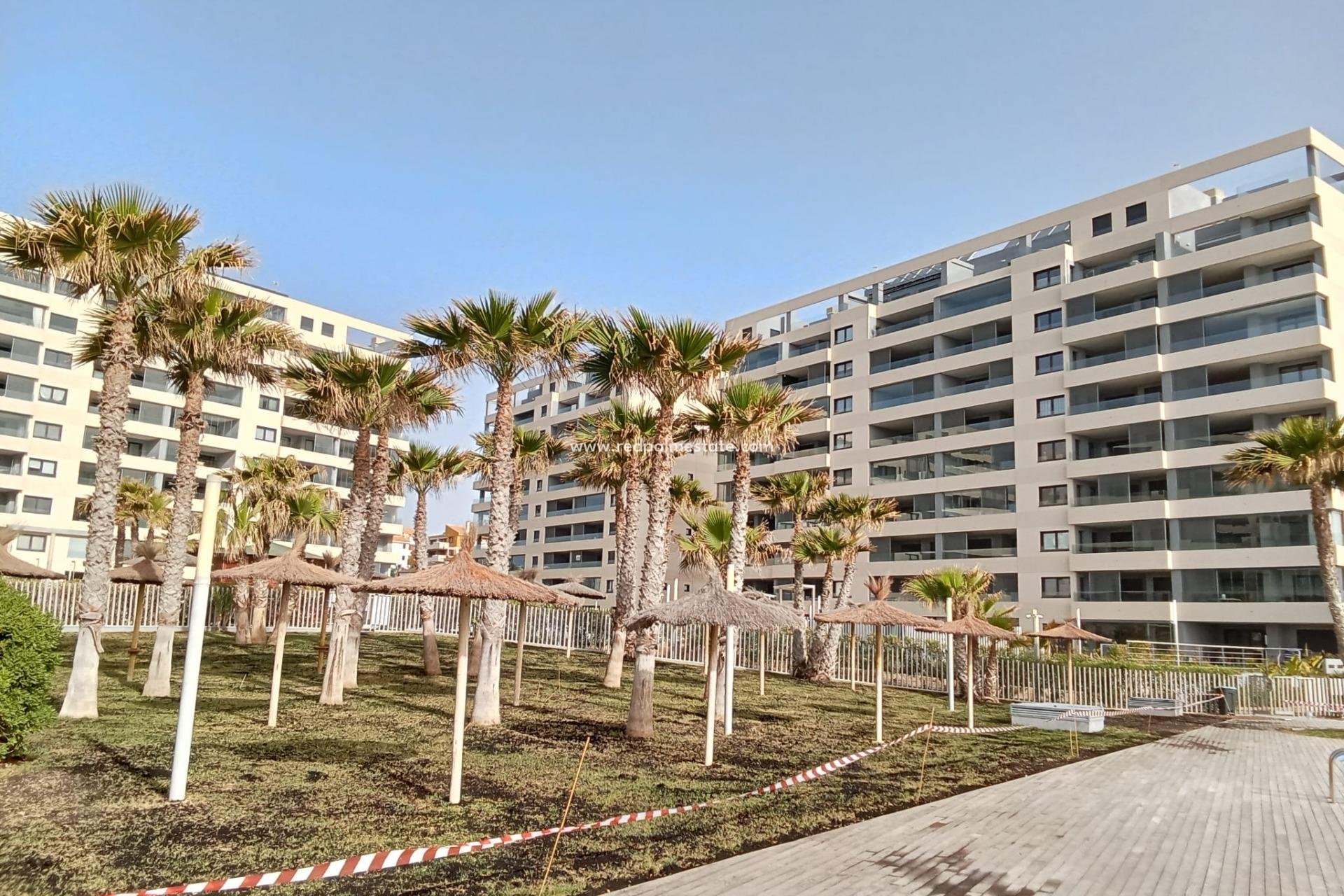 Resale - Apartment -
Torrevieja - Punta prima