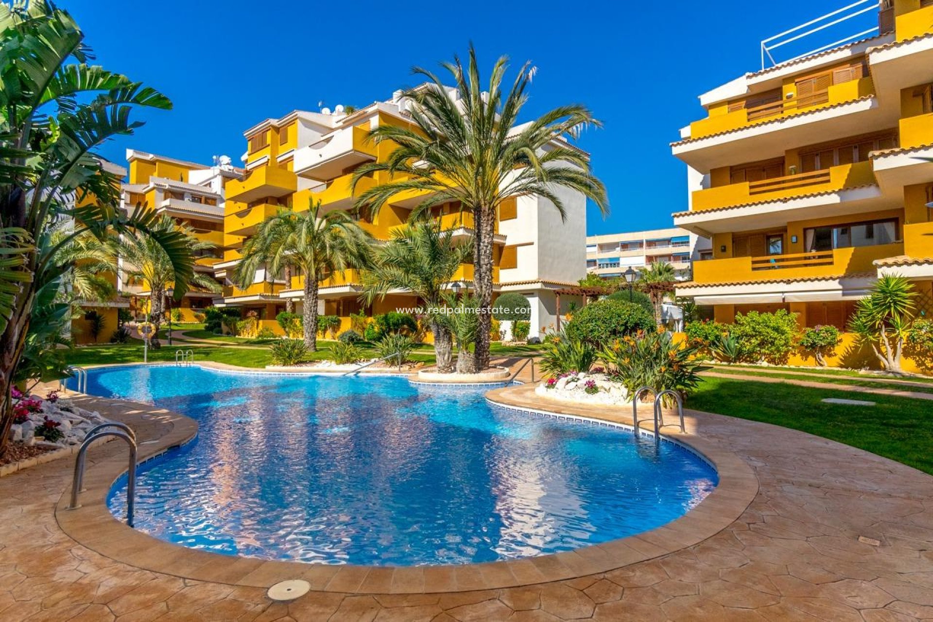 Resale - Apartment -
Torrevieja - Punta prima