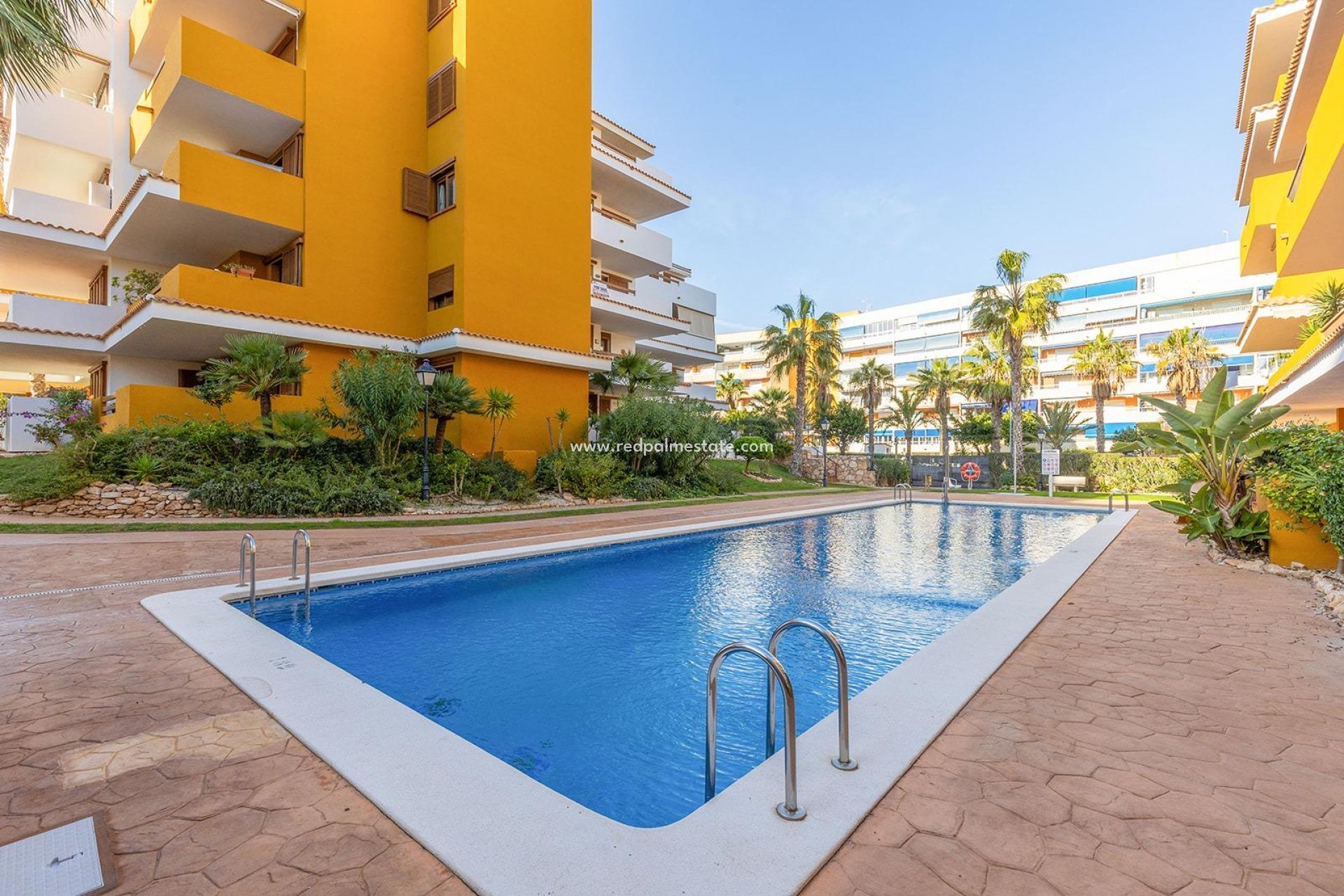Resale - Apartment -
Torrevieja - Punta prima