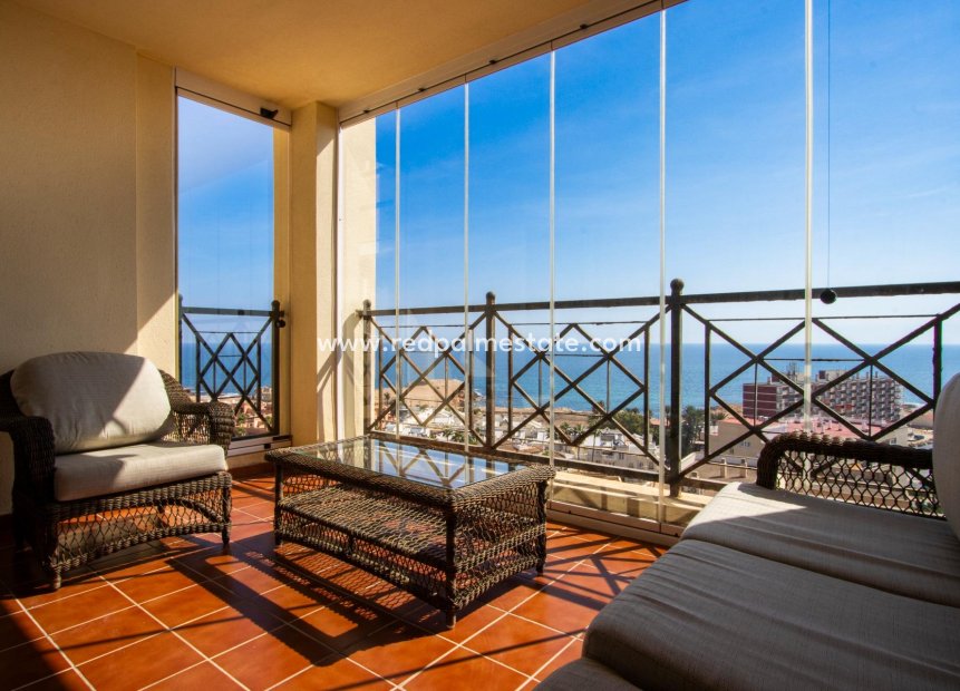 Resale - Apartment -
Torrevieja - Rosaleda-los frutales