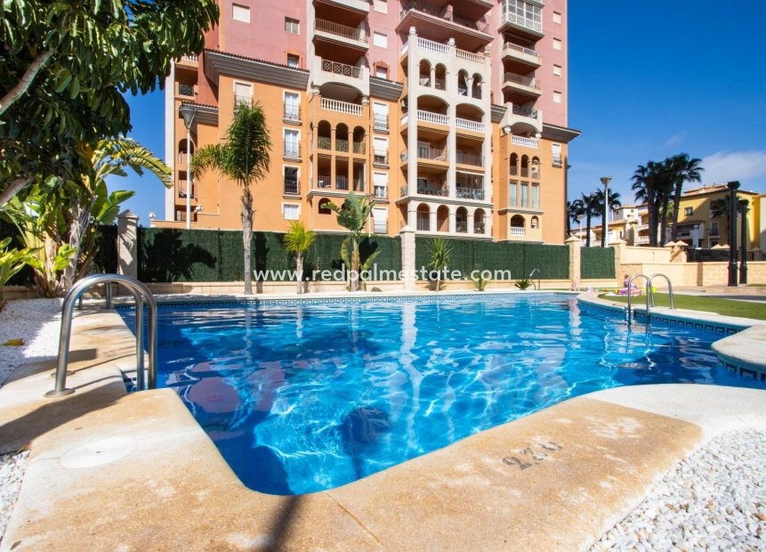 Resale - Apartment -
Torrevieja - Rosaleda-los frutales
