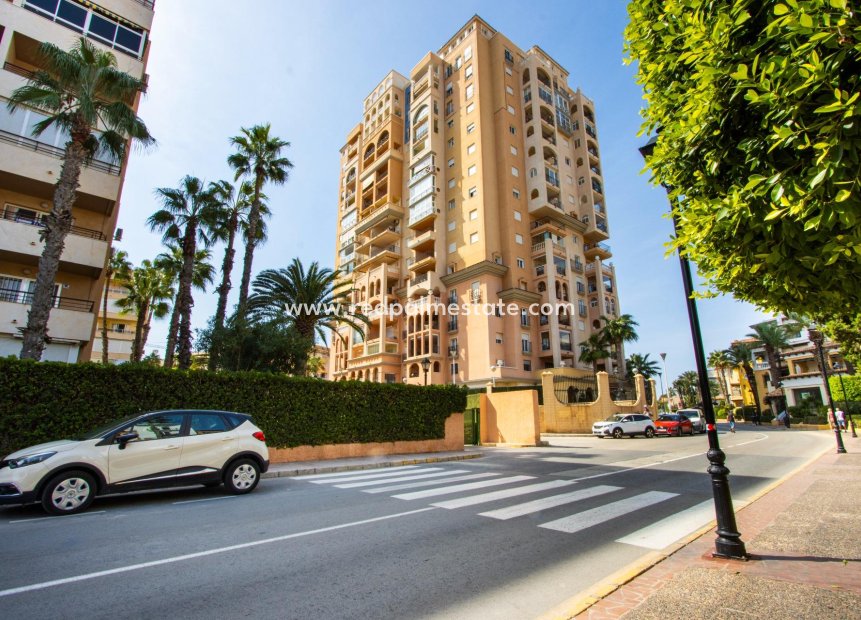 Resale - Apartment -
Torrevieja - Rosaleda-los frutales