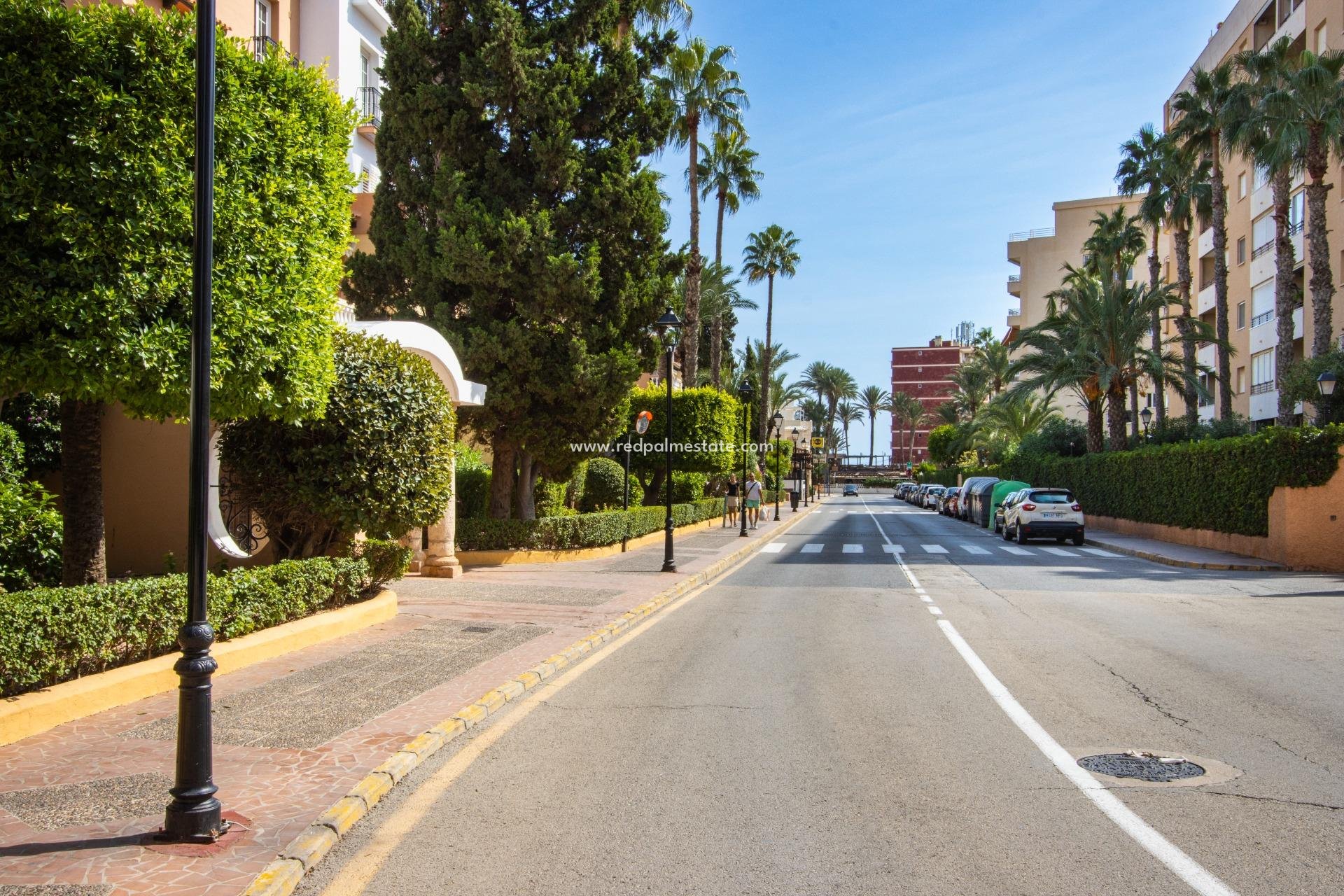 Resale - Apartment -
Torrevieja - Rosaleda-los frutales