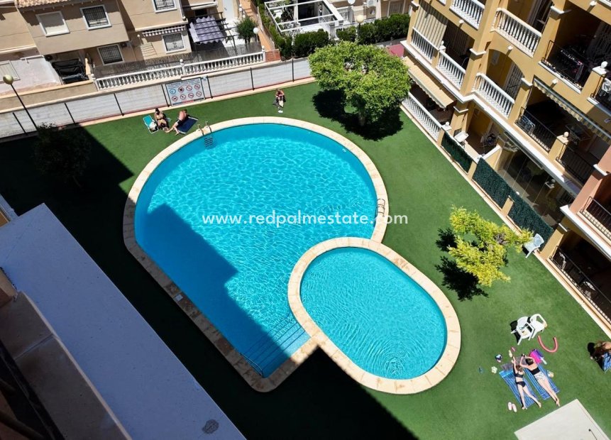 Resale - Apartment -
Torrevieja - Torreblanca