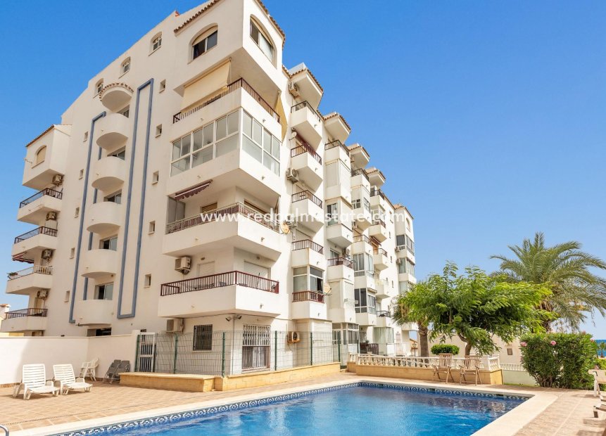 Resale - Apartment -
Torrevieja - Torreblanca