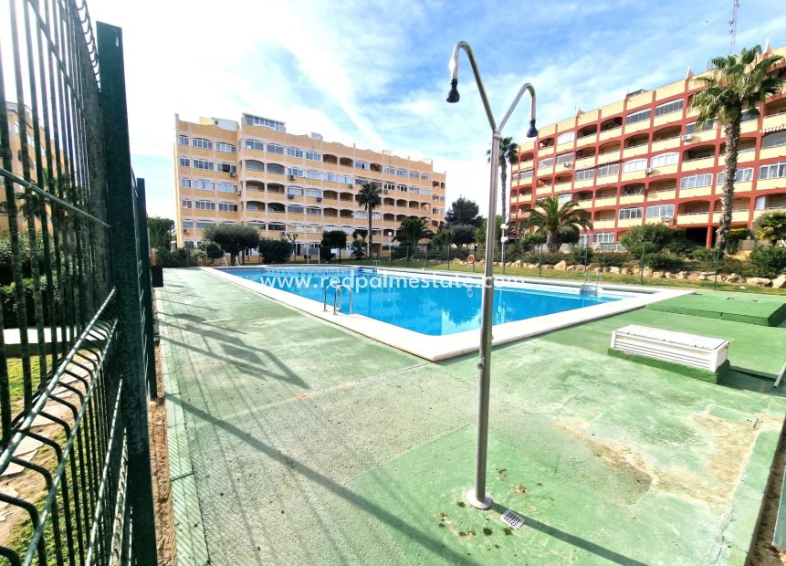 Resale - Apartment -
Torrevieja - Torreblanca