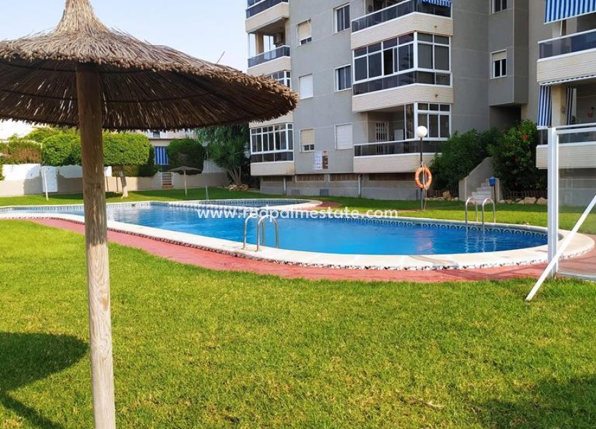 Resale - Apartment -
Torrevieja - Torreblanca