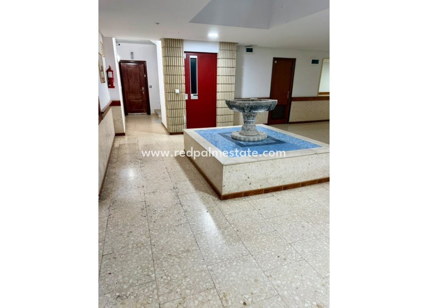Resale - Apartment -
Torrevieja - Torrevieja Centro