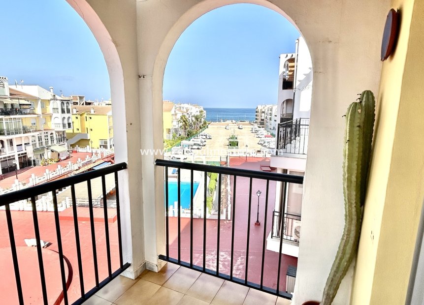 Resale - Apartment -
Torrevieja