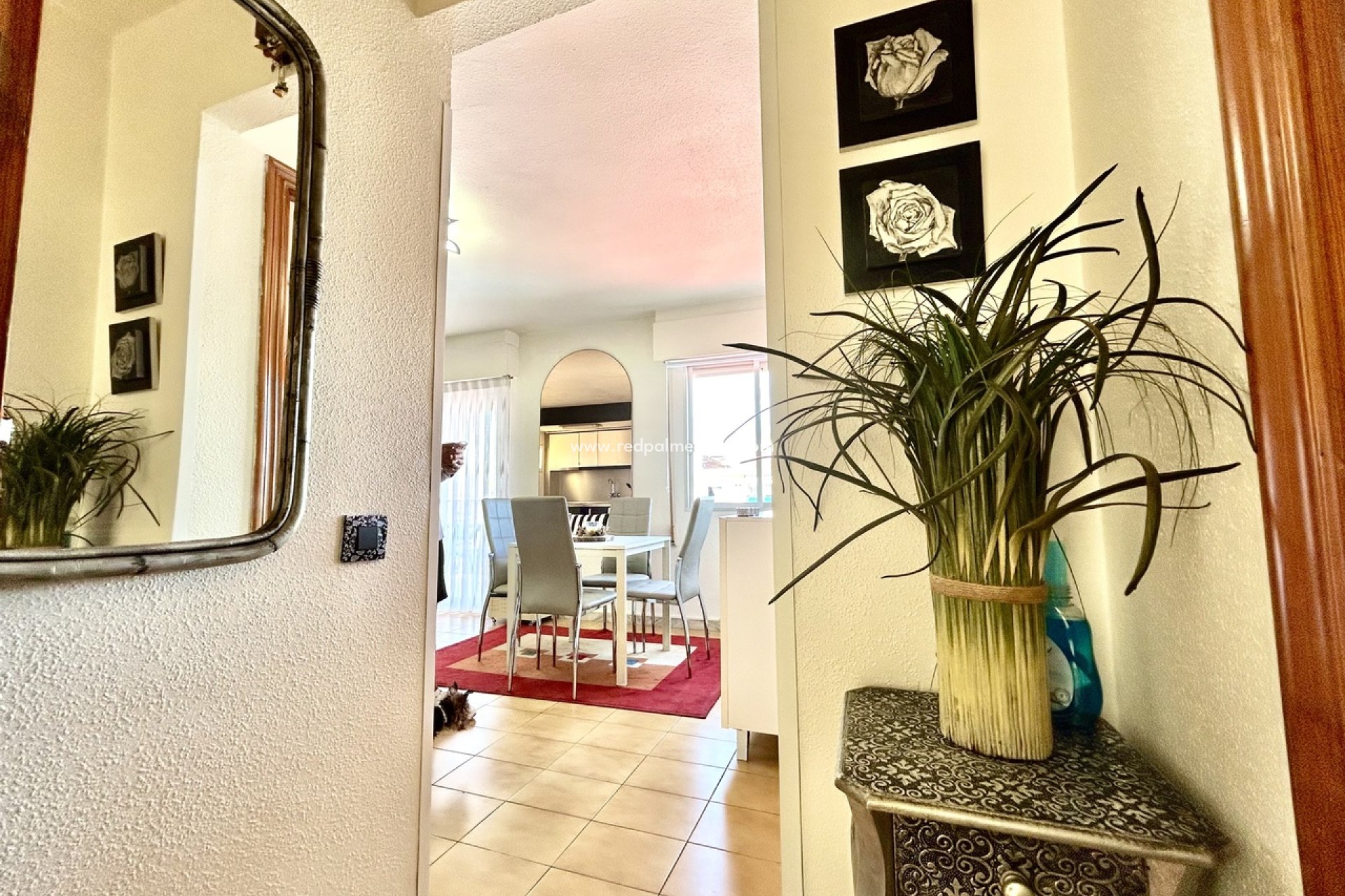 Resale - Apartment -
Torrevieja
