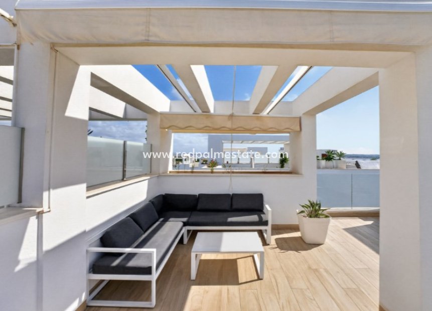 Resale - Apartment -
Torrevieja