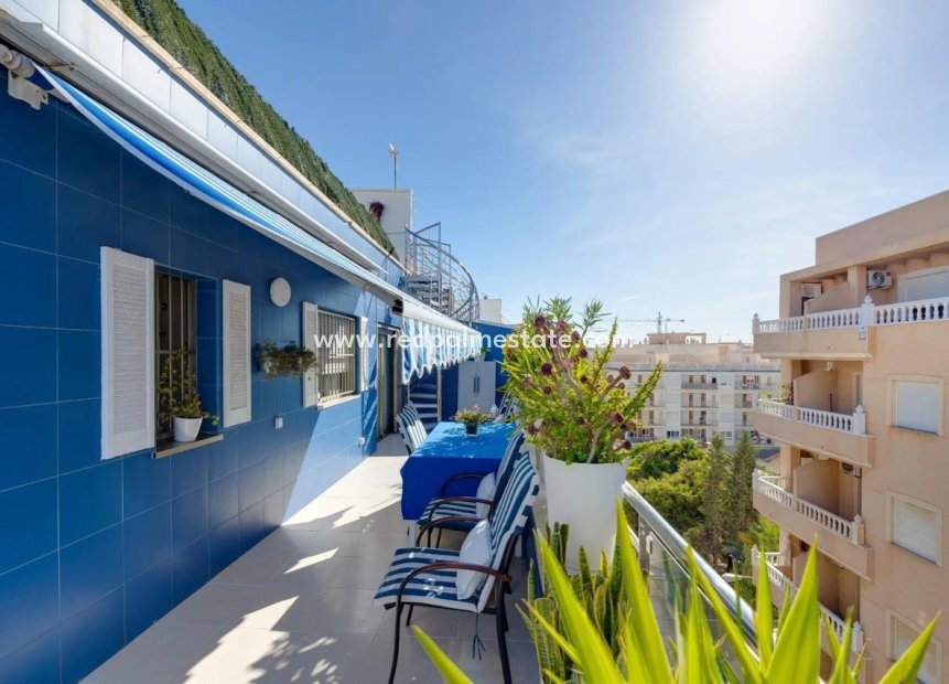 Resale - Apartment -
Torrevieja