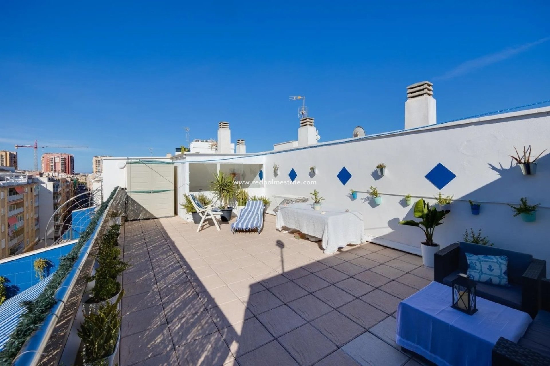 Resale - Apartment -
Torrevieja